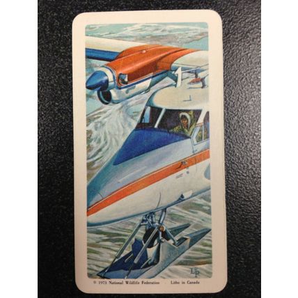 Red Rose Tea Card - Blue Ribbon The Arctic Series 16 - Set of 10 cards