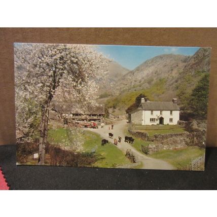 YEW TREE FARM, CONISTON, LAKE DISTRICT CUMBRIA. unused postcard by Sanderson =