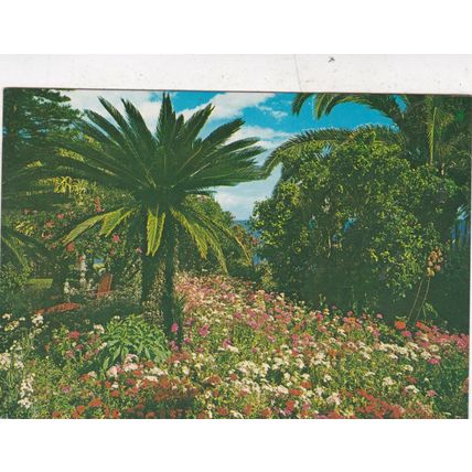 Funchal Jardim Tropical Madeira Portugal Postcard posted 1987 corner crease