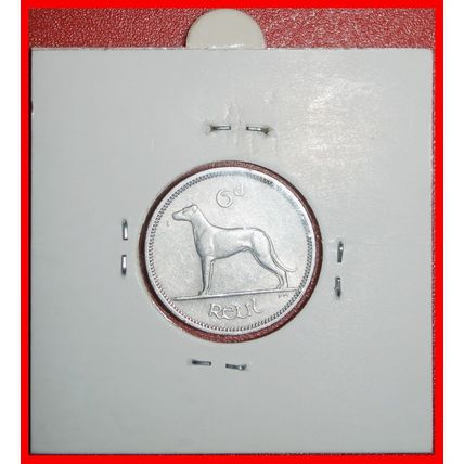 Ⰶ GREAT BRITAIN (1942-1969):IRELAND★6 PENCE 1964 DOG★HOLDER★LOW START★NO RESERVE