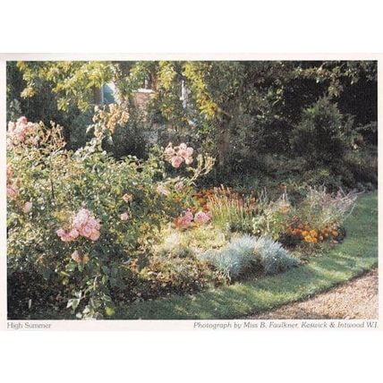 Keswick Summer Roses Garden Norwich Norfolk Postcard