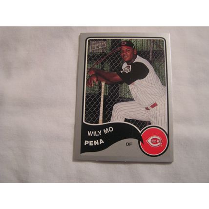 Wily Mo Pena 2003 Bazooka SILVER NO. 263