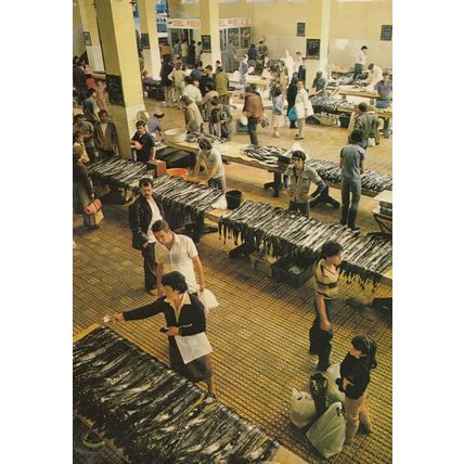 Funchal Fish Poissons Market Traders Shop Portugal Postcard