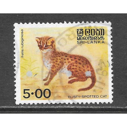 SRI LANKA RUSTY SPOTTED CAT USED