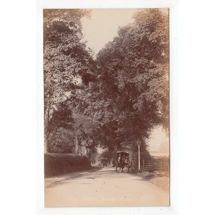 Hayes Lane Bromley Postcard RP Kent