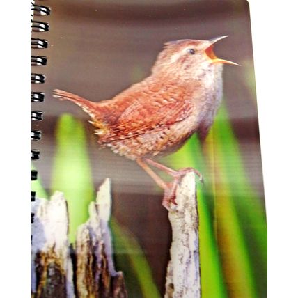 Jenny Wren 3D image on the cover of a pocket Notebook