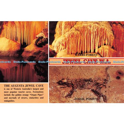 D098923 Jewel Cave. Karri Forest. The Organ Pipes. Rolsh Productions. Multi View