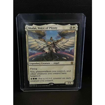 Shalai, Voice of Plenty Dominaria Magic: the Gathering Trading Card