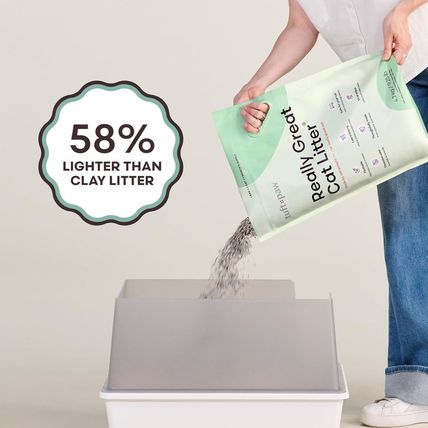 Tuft + Paw Really Great Cat Litter, Low Tracking Tofu Cat Litter, Clumping, Flus