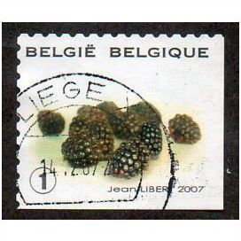 BEL 2007 (52c)(S/A) 'FRUIT- BLACKBERRIES' FINE USED (EBID10436)