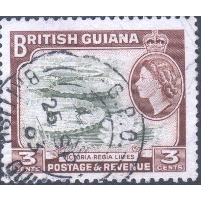 British Guiana 1954 - SG333 - 3c olive & brown - Victoria Regia Lilies - used