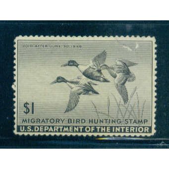 RW12 $1 Shoveller Ducks in Flight Fine MNH C0994