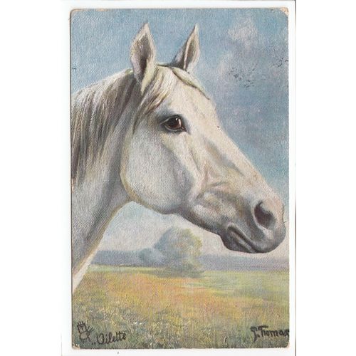 Horse Artist Signed Paul Thomas 1905 Oilette Art Postcard