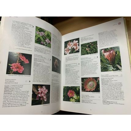 1990 "FLOWERS IN COLOUR" GARDEN FLOWERS LARGE HEAVY 1.9kg HARDBACK BOOK (P8)