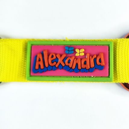 Alexandra Named Keyring Yellow Nylon Orange Carabiner Clip Fun Bright