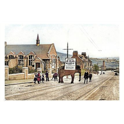 ptc5742 - Yorks - Early Salterhebble School & Zoo Sports Day Halifax - print 6x4