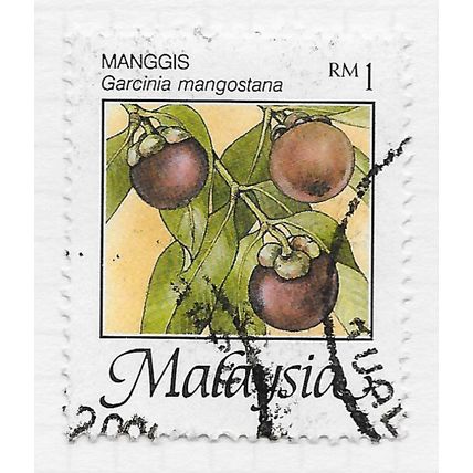 MALAYSIA 2005 MANGGIS FRUITS RM1 USED WATERMARK UNCHECKED