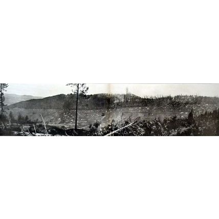 FRENCH ADVANCE EAST AND NORTH OF MUNSTER 1915 FRANCE WORLD WAR I PRINT