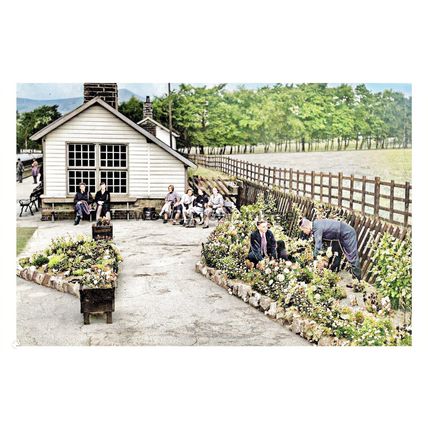 ptc8299 - Derbys' - Hope Railway Station Gardens, back in 1958 - print 6x4