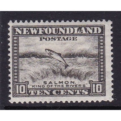 NEWFOUNDLAND 1932 SALMON 10c MINT SG215