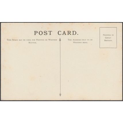 Smooth-Leaved Elm, Ulmus Nitens, c.1910s - British Museum Postcard