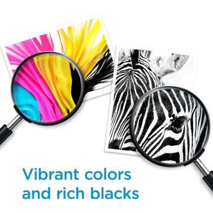 HP 67XL Black High-Yield Ink Cartridge | Works with HP Deskjet 1255, 2700, 4100