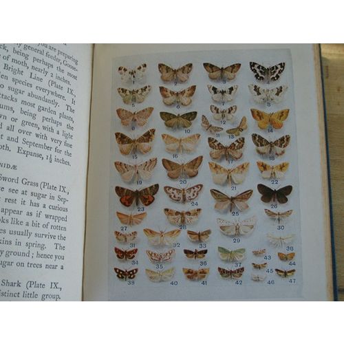 Peeps At Nature Common British Moths, A.M. Stewart 1923 Hardback Book