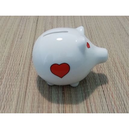 Piggy Bank Niagara Falls Coin Bank 10cm Across 8cm High