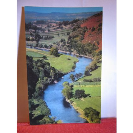 RIVER WYE FROM THE YAT ROCK, SYMONDS YAT unused postcard Colourmaster =