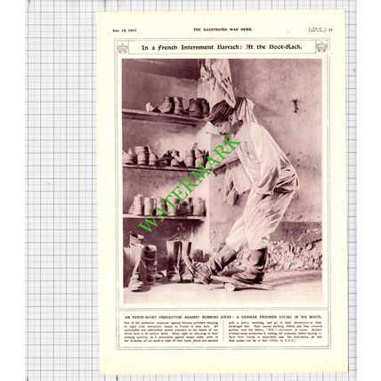 German Prisoner Of War France Great War - 1917 Cutting / Print