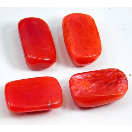 Natural 35.50 Ct Italian Red Coral "Cabochon" Cut Loose Gemstone Lot