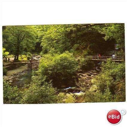 WATERSMEET NEAR LYNMOUTH DEVON POSTCARD M0050
