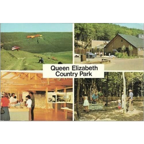 Petersfield, Hampshire - Queen Elizabeth Country Park - postcard c.1970s