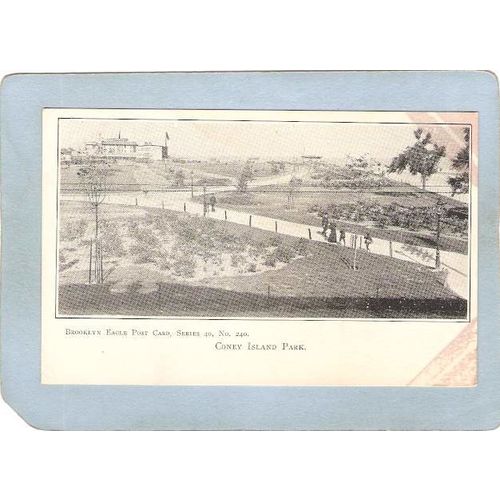 New York Coney Island Amusement Park Postcard Coney Island Park Brooklyn E~357