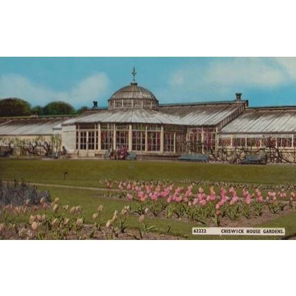Chiswick House Gardens London 1970s Postcard