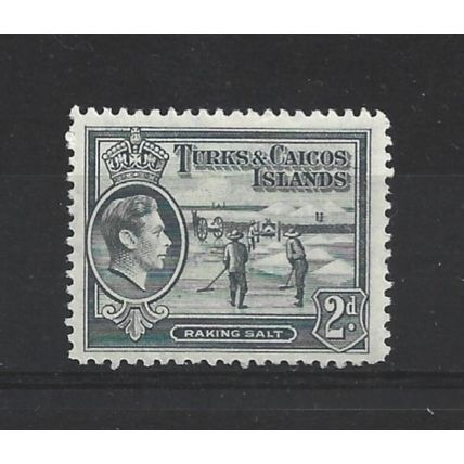 Turks&Caicos.SG198 2d Raking Salt (Grey).Mounted Mint.Aug24a