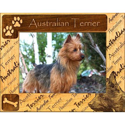 Australian Terrier Laser Engraved Wood Picture Frame (5 x 7)