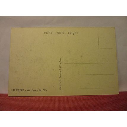 ON THE BANK OF THE NILE, CAIRO, Egypt unused antique postcard #