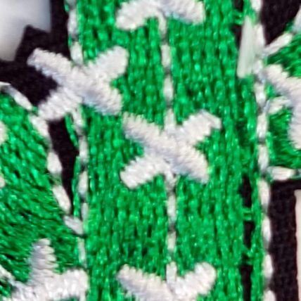 Cactus Iron On Patch Desert Sand Novelty Plant Embroidered Applique Badge P671