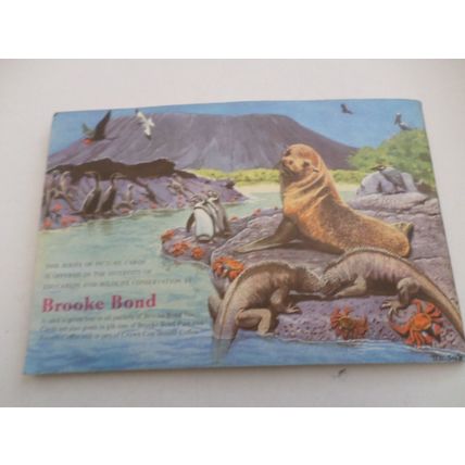 Brooke Bond - Wildlife In Danger - Complete Album with Picture Cards