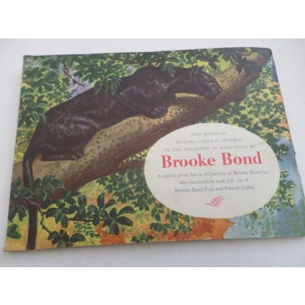 Brooke Bond - African Wild Life - Complete Album with Picture Cards