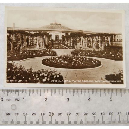 vintage postcard Weston Super Mare, Rose Gardens, Winter Gsrdens