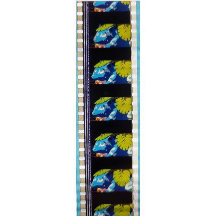 Pokemon . Pk MRQ - b044R . 1 STRIP OF 5 - 35MM FILM CELLS