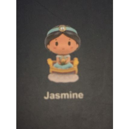 NEW Disney Aladdin Jasmine Princess Popmart Ride Series Figure