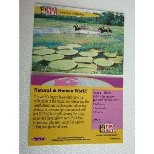 Pro Set 1992 Guinness Book of Records Trade Cards Card Variants (eb2)