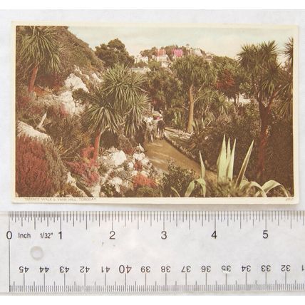 vintage postcard Terrace Walk & Vane Hill, Torquay
