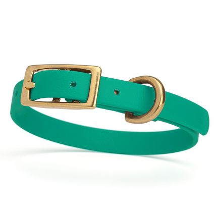 Dog Pet Collar with Brass Hardware Size XS W 1/2” L 9” - 12” Teal