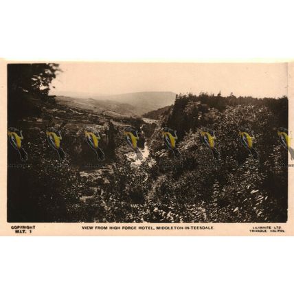 View From High Force Hotel, Middleton-in-Teesdale, Rare RP Lilleywhite Postcard