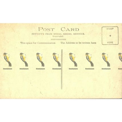 Thirlmere, Cumbria, 1064 Rare RP Pettitts Postcard