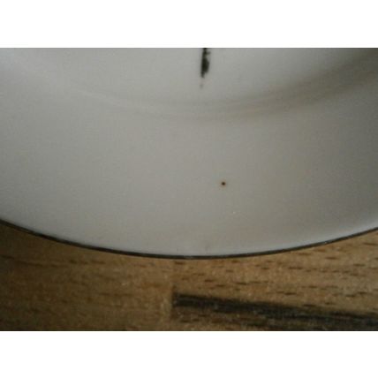 Retro Kahla East German Rose Side Plate